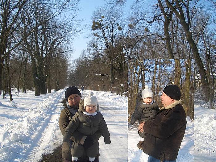 winter