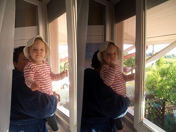 rexiwindow